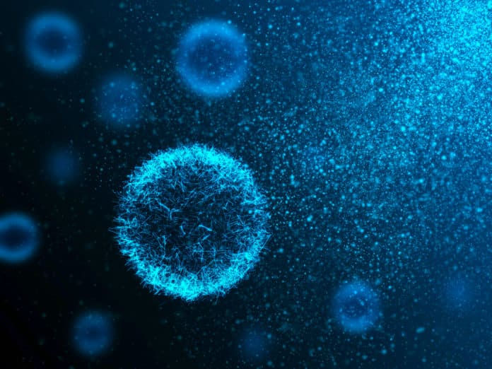 Bacteria can outsmart apoptosis
