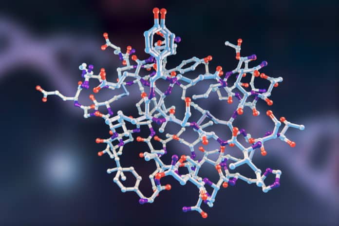 Scientists Create New Tool For Switching Proteins On & Off