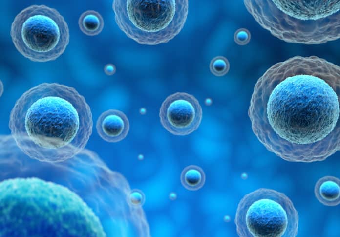 Never Seen Before Images of 'Invisible' Holes on Cells