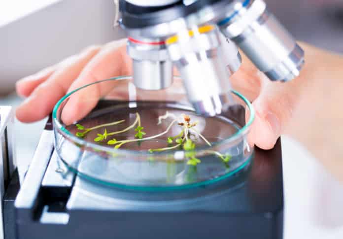 Abcam Biology Scientist Job Opening - Apply Online