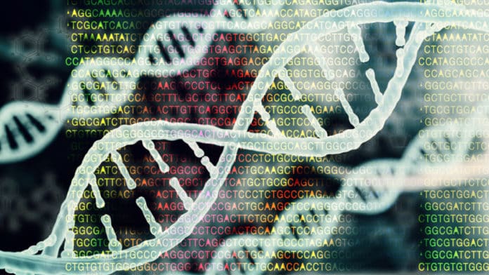Bioinformatics Research Scientist - St. Jude Children’s Research Hospital