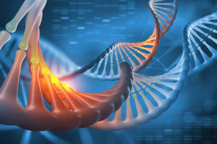 Cradle Genomics Bioinformatics Scientist Vacancy - Apply Online