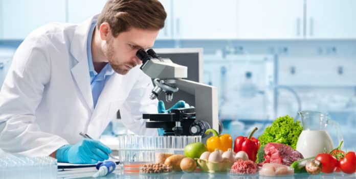 HP Hoods R&D Intern Vacancy - Food Science Jobs