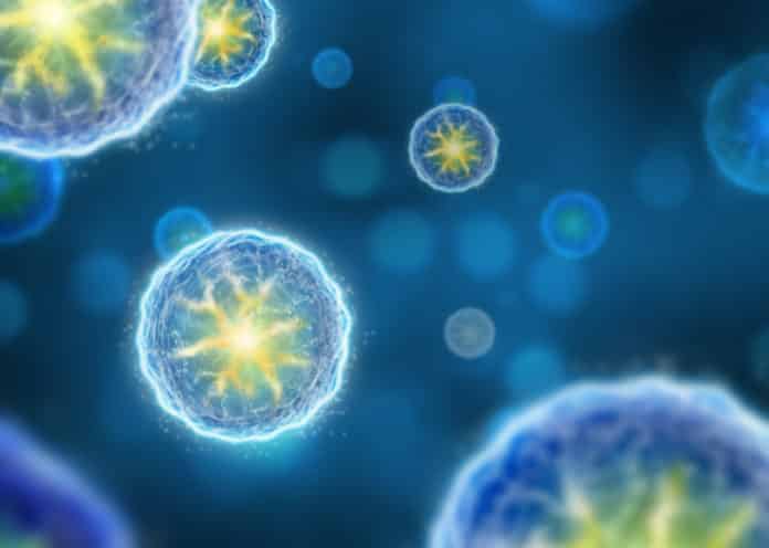 Vor Biopharma Associate Scientist Vacancy - Molecular Cell Biology