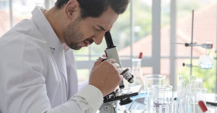 AbbVie Freshers Job