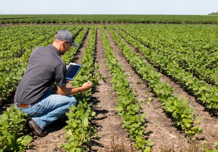 Bayer Life Science Job 2020 - Agronomic Research Specialist