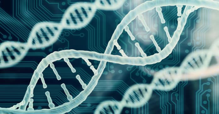 Beijing's Coronavirus Genome Data Detects European Strain