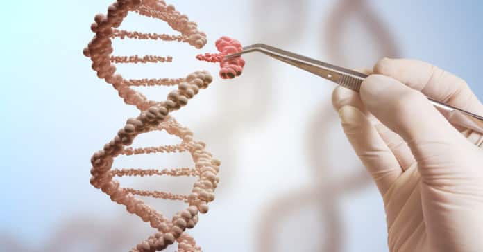 Bristol-Myers Freshers Biotech Job 2020 - Apply Online