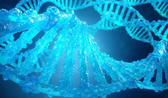 COVID-19 Genotyping Tool
