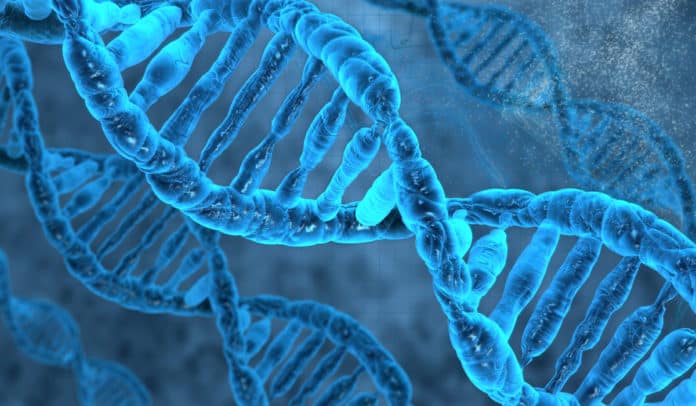 Parsons PhD Job Vacancy - Biological Science Scientist