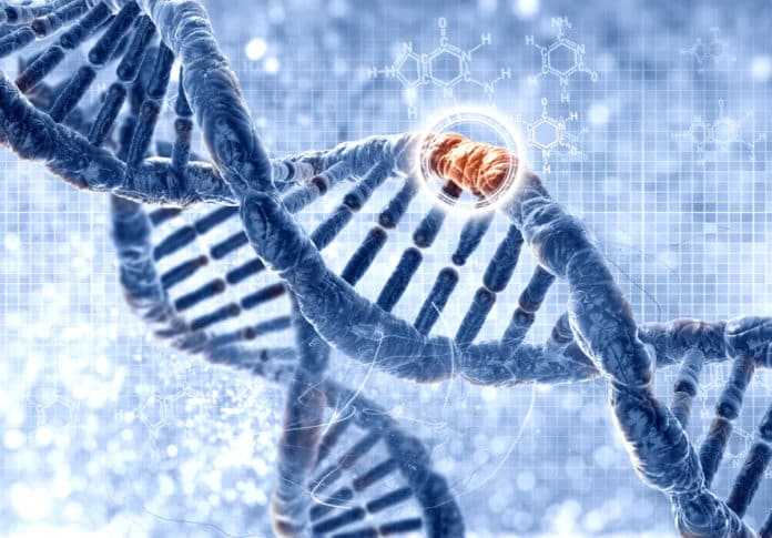 SRG Molecular Biology Job Vacancy - Associate Scientist