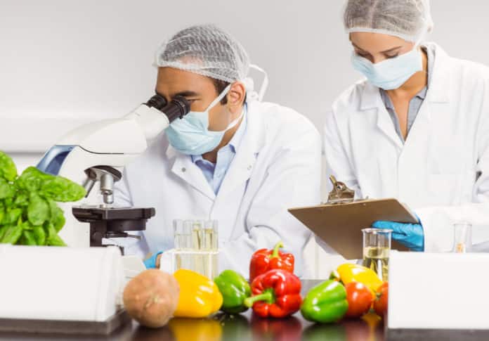 TreeHouse Foods Food Scientist Vacancy - Apply Online