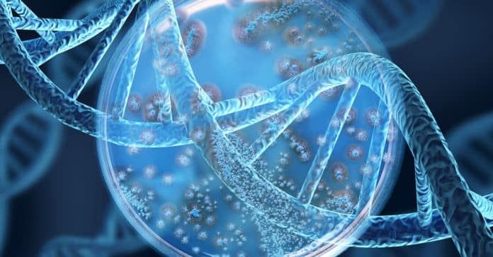 Eli Lilly Biological Science Job Opening - Apply Online