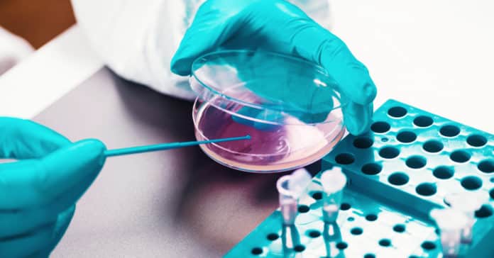 Novartis QC Microbiology Manager Vacancy - Apply