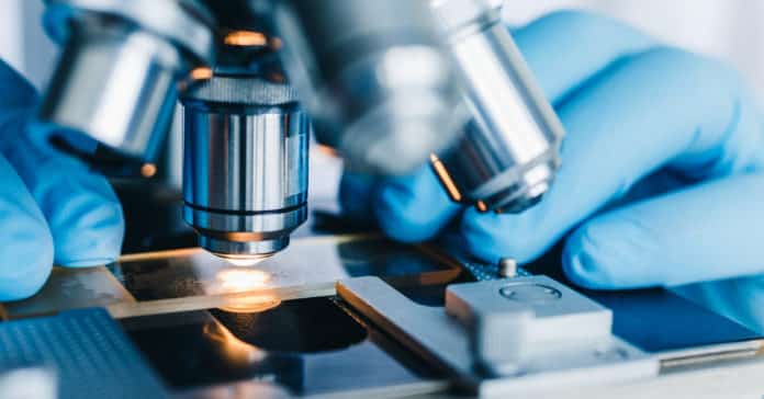 Perkin Elmer Biochemistry Job Opening - Apply Online