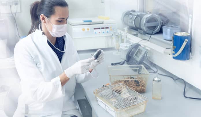 Covance Animal Study Technician Vacancy - Life Science