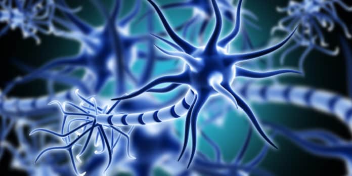 Edinburgh Scientists Develop A New Super-Resolution Imaging Technique