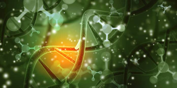 U.S. Pharmacopeial Convention - Biochemistry Quality Control Job
