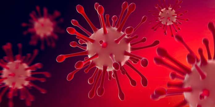 Rapid Results At Home - Cellex And Gauss Aim For Smartphone-powered COVID-19 Rapid Test