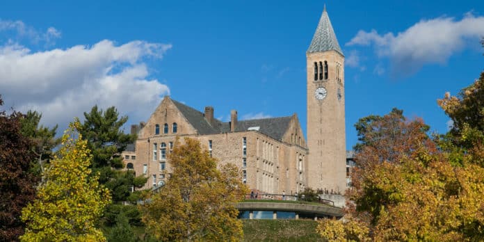 Cornell University Food Science Job - Postdoctoral Associate