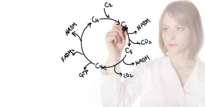 Understanding the origin of life