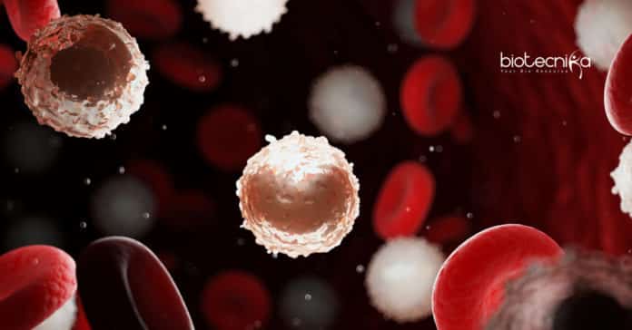 Antiparasitic Drug to Combat Blood Cancer