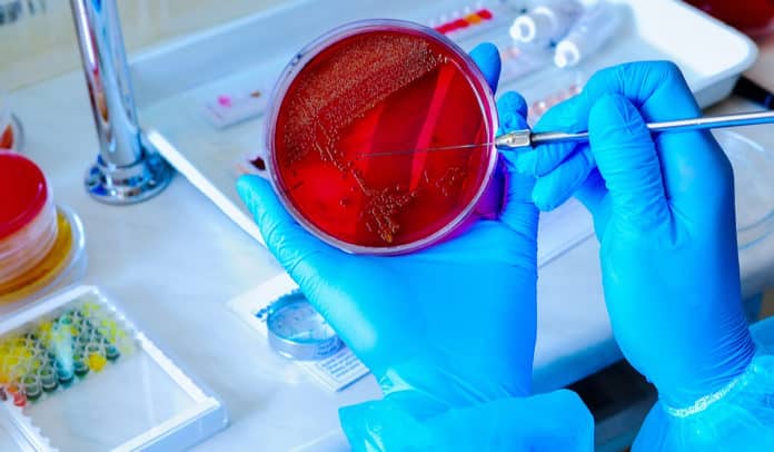 IFF Microbiology Technologist Vacancy - Apply Online
