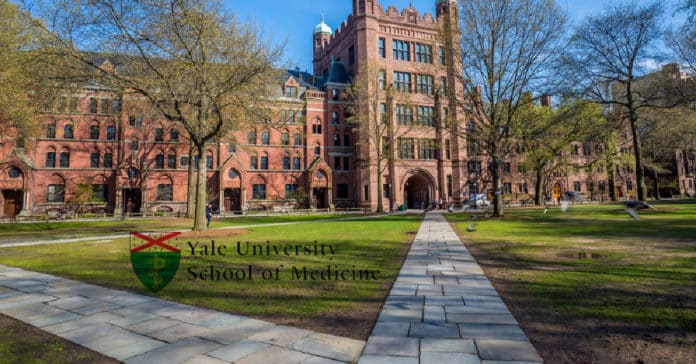 Yale School of Medicine - PhD Microbiology Post Doc Vacancy