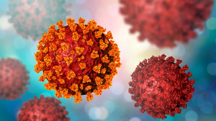 Neuropilin-1 Facilitates SARS-CoV-2 Infectivity