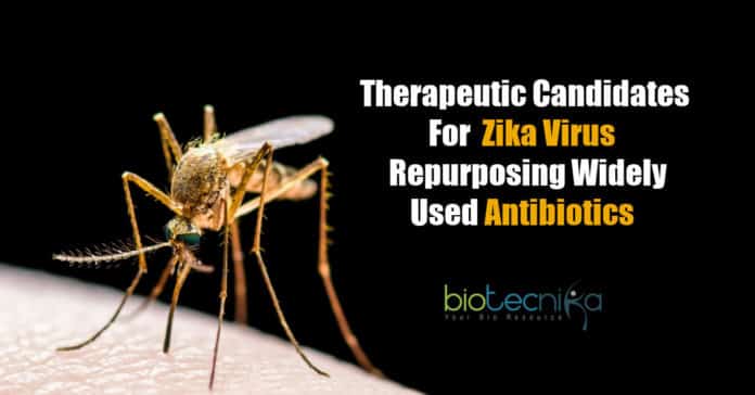 Fighting Zika Infections