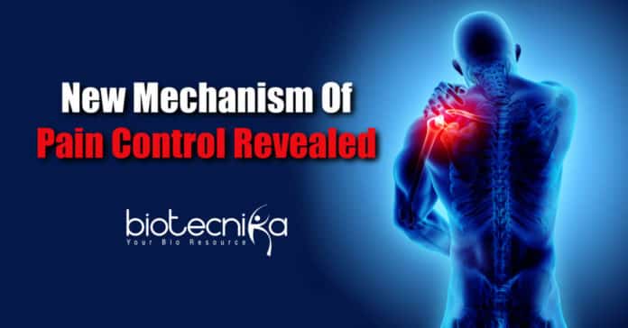 Novel Method To Control Pain