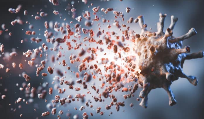 COVID-19 Immunity Lasts 6-8 Months : Study Reveals