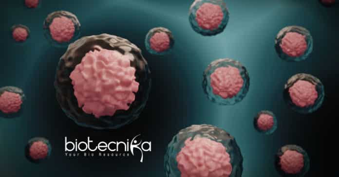 Boosting supply of stem cells