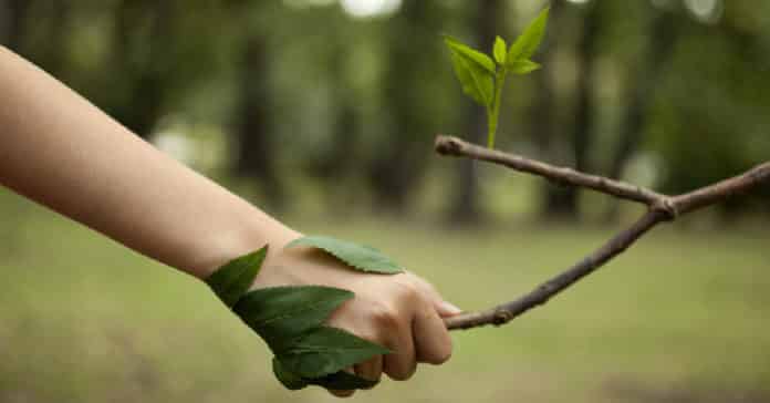 Environmental Biotechnologist Career