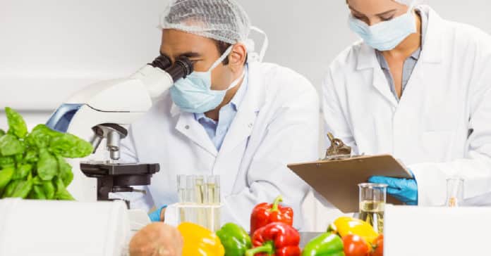 Food Safety Scientist Vacancy 2020-21 @ Rose International