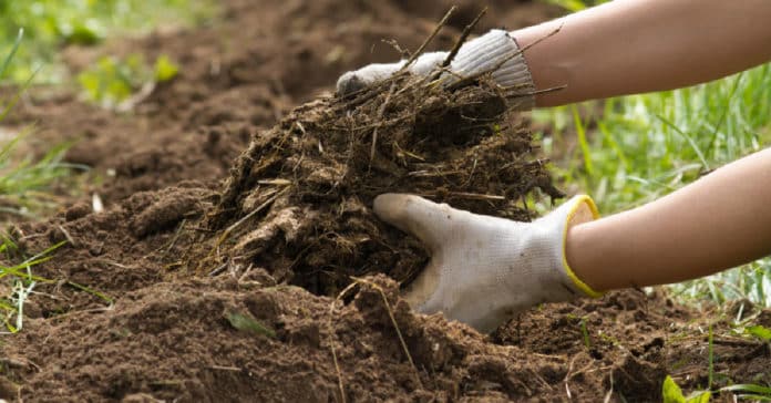 High-Quality Biofertilizer Produced By Malaysian Chemists