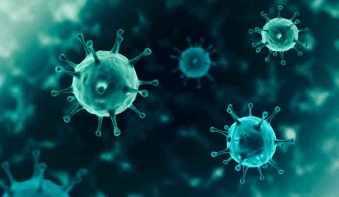 New Study Reveals 6-8 Months Of COVID-19 Immunity