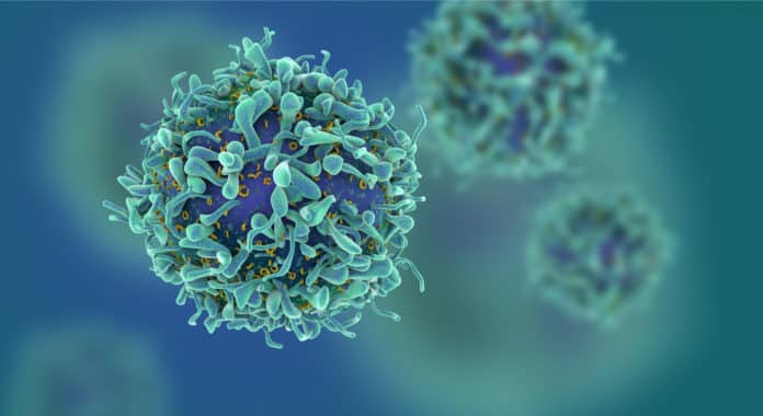 Researchers Use Big Date Analysis To Engineer Smart Cells For Cancer Therapy (1)