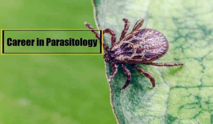 A Career In Parasitology