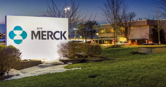 Merck Bioinformatics & Toxicology Intern Vacancy 2021 - Apply Online