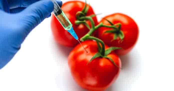 Mars Principle Flavor Scientist Vacancy 2021 - Apply Online