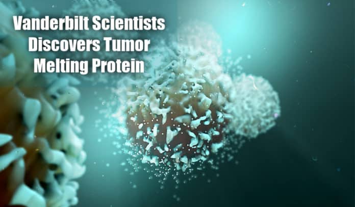 Tumor Melting Protein
