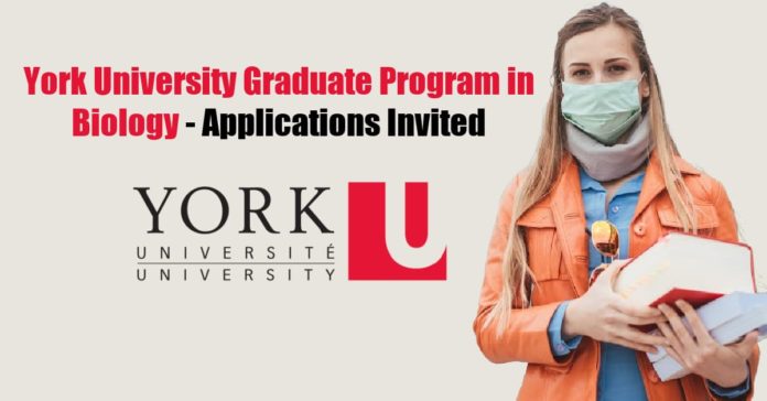 York University Graduate Program