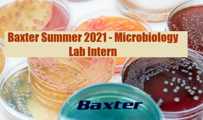 Baxter Summer 2021