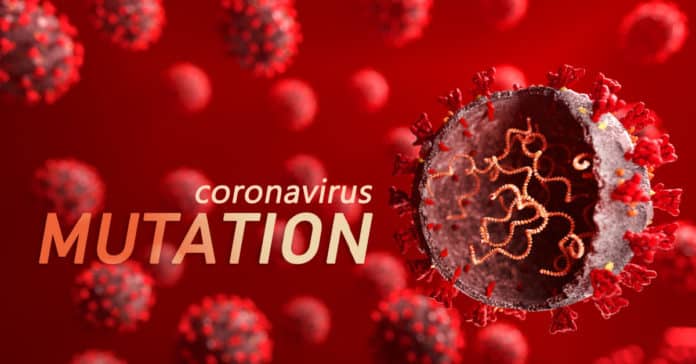 New Mutations Of coronavirus