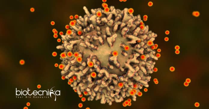 How SARS CoV2 mutates