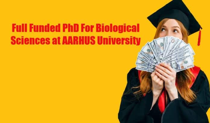 Full Funded PhD