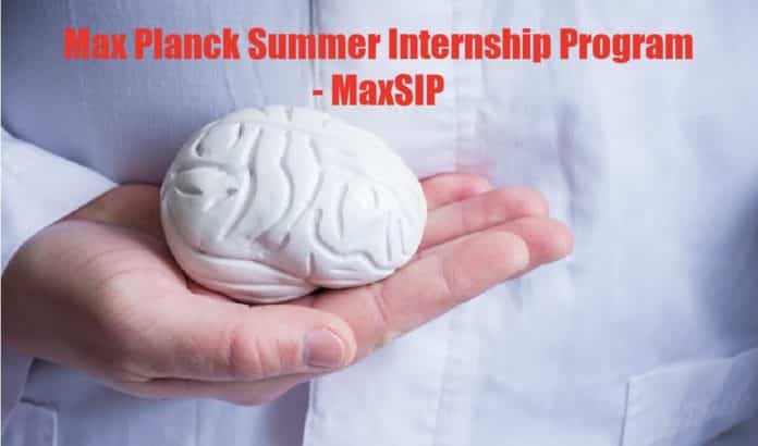Max Planck Summer Internship