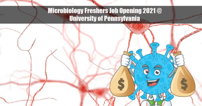 Microbiology Freshers Job Opening 2021 @ University of Pennsylvania