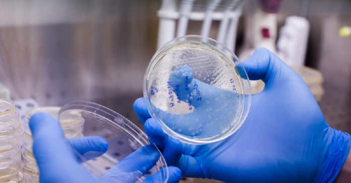 Novartis Cell Therapy Scientist Vacancy 2021 - Apply Online